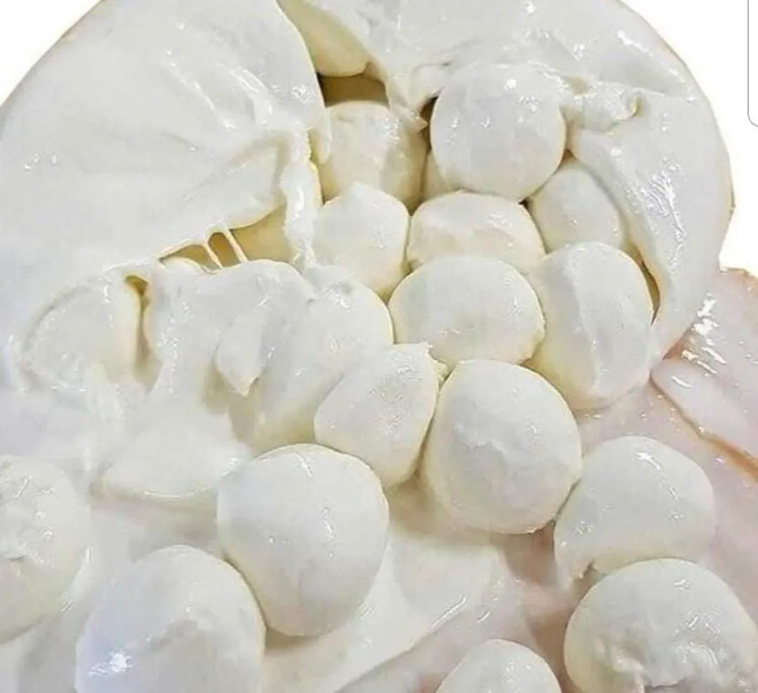 Gasthuis Partenope 10 Napels Italië